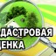 Извещение о размещении проекта отчета об итогах государственной кадастровой оценки земельных участко