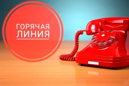 Организована горячая линии по вопросам энергообеспечения.